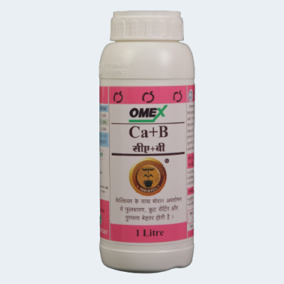 CA+B