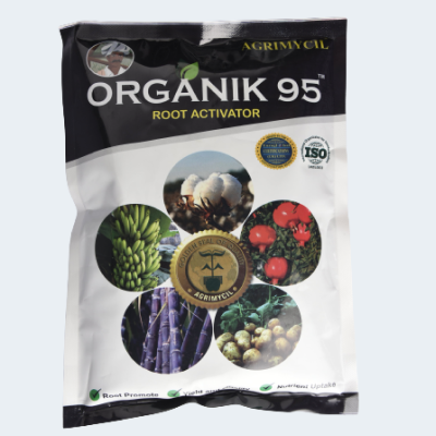 ORGANIK 95
