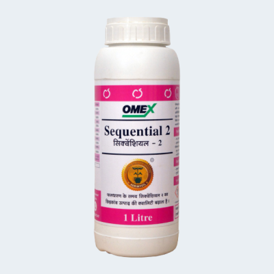 Sequential-2